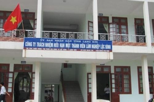 Một cựu giám đốc được cấp 3 sổ đỏ trái quy định