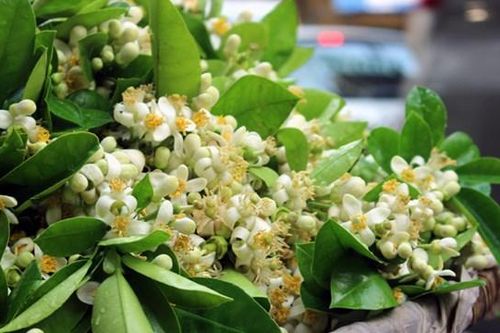 Hoa bưởi ngập tràn khắp phố đón Rằm tháng Giêng