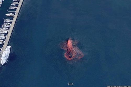 'Bạch tuộc khổng lồ' và những thứ kỳ lạ trên Google Maps