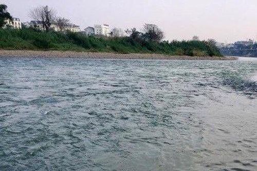 Nước sông Hồng chuyển màu xanh
