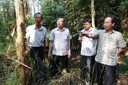 Hậu Giang chủ động phòng, chống cháy rừng mùa khô