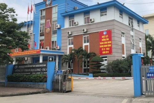 Triệt phá đường dây khai thác than trái phép quy mô lớn ở Quảng Ninh