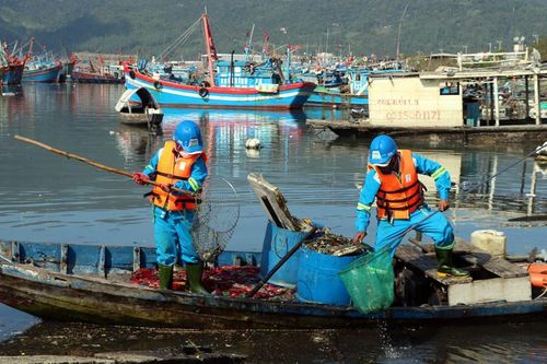 Quyết tâm xóa 'điểm nóng' ô nhiễm tại âu thuyền và cảng cá Thọ Quang