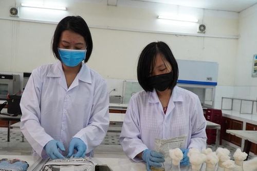 ĐH Đà Nẵng: Sinh viên trở lại học tập trung từ ngày 1/3