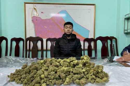 Triệt phá đường dây vận chuyển ma túy cần sa qua 'giao hàng tiết kiệm'