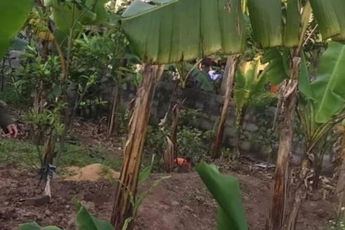 Nữ sinh lớp 10 bị bạn trai giết trong vườn chuối