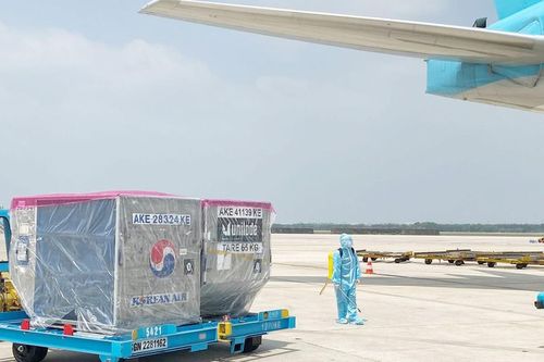 Lô vắc xin ngừa COVID-19 đầu tiên đã về tới Việt Nam