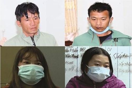 Triệt phá đường dây vận chuyển, mua bán trái phép 50 kg ma túy đá liên tỉnh