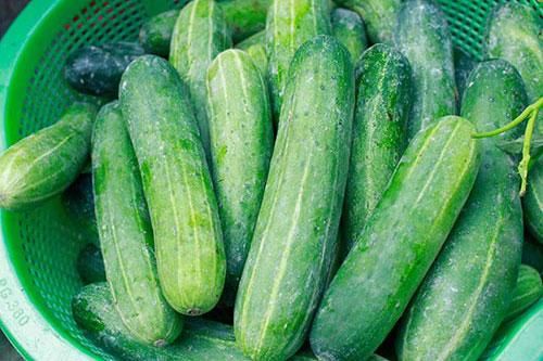 Sai lầm khi đắp mặt nạ dưa chuột bạn phải biết