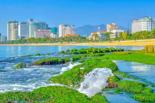 Bãi rêu xanh- Hứa hẹn điểm check-in độc đáo trên vịnh Nha Trang