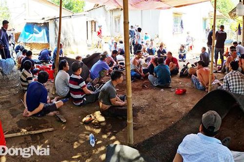Tạm giữ hình sự 9 đối tượng tham gia đá gà