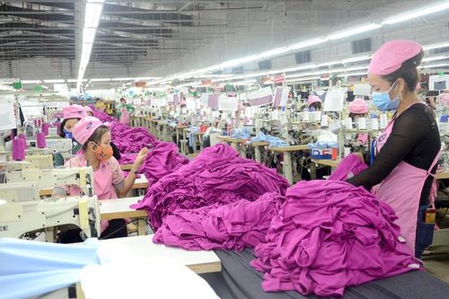 Bắt tay ngay vào công việc ngay từ đầu năm