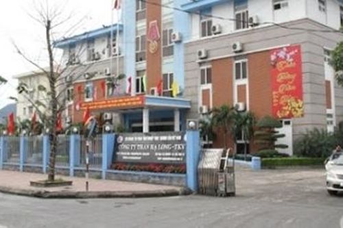 Triệt phá đường dây hàng trăm nghìn tấn than lậu