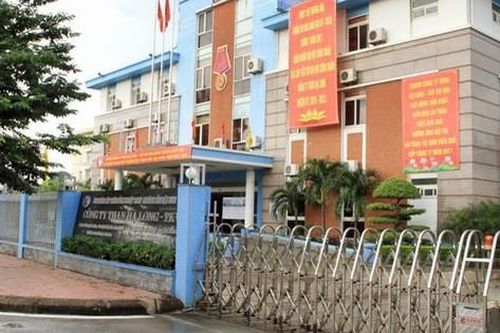 Quảng Ninh: Triệt phá đường dây khai thác than trái phép, thu giữ gần 100 nghìn tấn