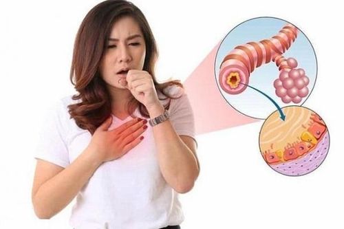 Bài thuốc trị viêm đường hô hấp cấp