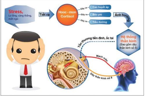 Cẩm nang sống khỏe cho người bệnh rối loạn tiền đình