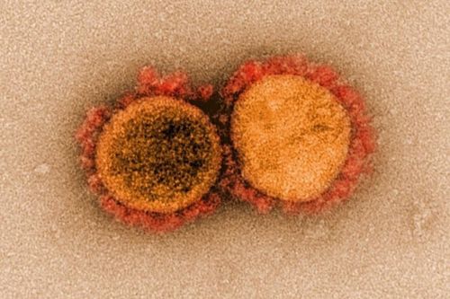 'Kịch bản ác mộng' từ biến chủng virus mới phát hiện ở California