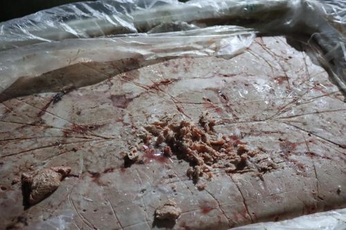 Phát hiện 2,5 tấn nầm lợn bốc mùi suýt tuồn ra thị trường