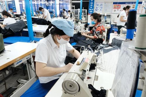 Gia hạn thời hạn nộp thuế và tiền thuê đất: Liều thuốc cần cho doanh nghiệp