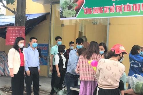 Hỗ trợ nông dân Hải Dương, Mê Linh tiêu thụ hàng chục tấn nông sản
