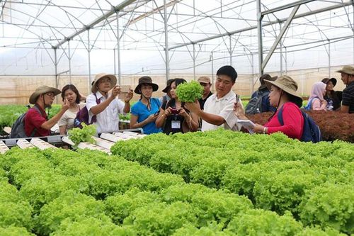 Ninh Bình ứng dụng khoa học - công nghệ vào sản xuất nông nghiệp