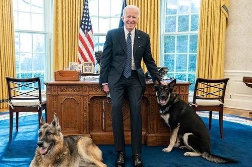 Có gì đặc biệt tại ngôi nhà mới của Tổng thống Joe Biden?