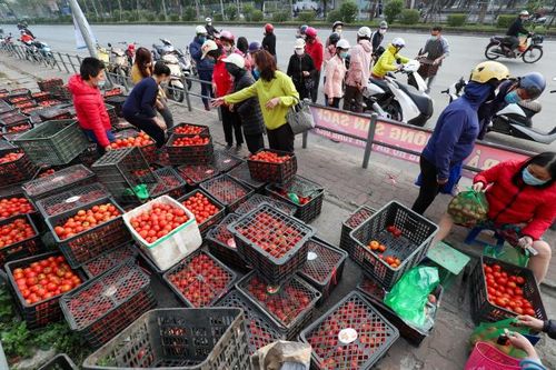 Giải pháp cho nông sản mùa dịch: Cần chính sách căn cơ hơn hô hào!