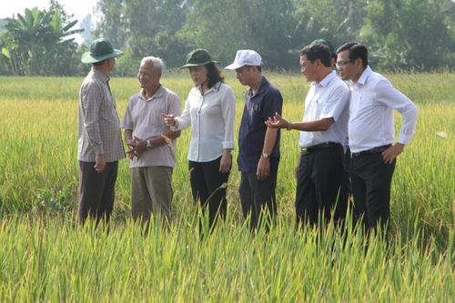 Dấu ấn nổi bật trong công tác khuyến nông tại Bạc Liêu