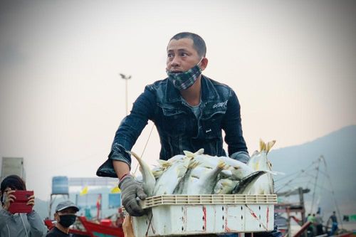 Vươn khơi đầu năm, ngư dân phấn khởi trúng đậm tôm, cá