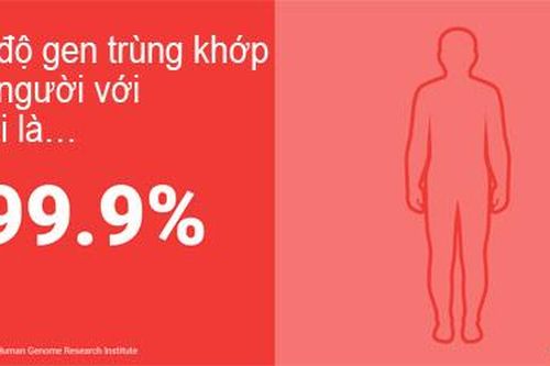 Phát hiện kinh ngạc về sự trùng khớp giữa gen người và động vật