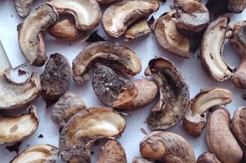 Những thực phẩm này sẽ thành chất độc với người Việt nếu chế biến sai cách