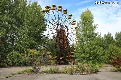 Tại sao bức xạ Chernobyl khiến động vật chết hàng loạt nhưng thực vật phát triển ngày càng tươi tốt?