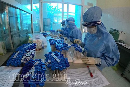 Chạy đua với đại dịch