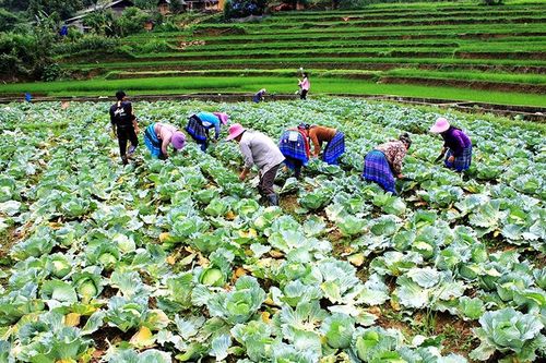 Xây dựng nông thôn mới ở vùng đặc biệt khó khăn