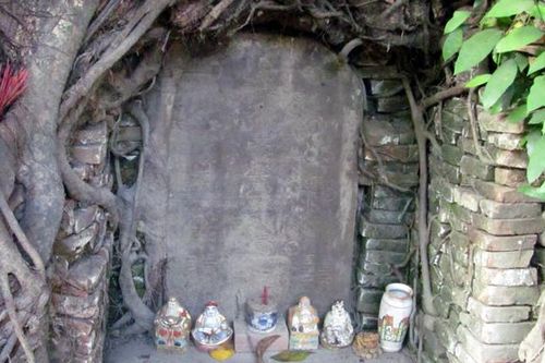 Chuyện tấm bia cổ trong gốc đa