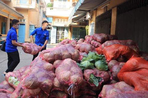 Bạn trẻ TP. HCM 'giải cứu' nông sản cho nông dân Hải Dương