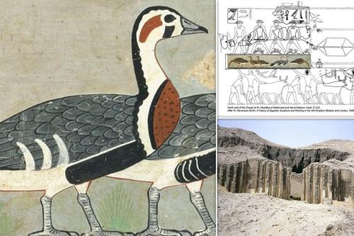 Tiết lộ về bức tranh 4.600 tuổi được mệnh danh là 'Mona Lisa của Ai Cập cổ đại'
