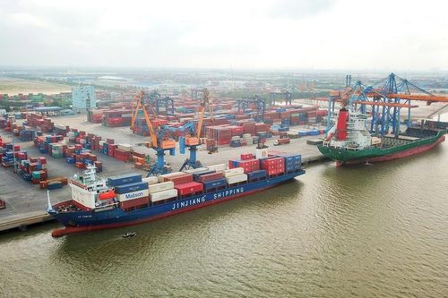 Lập tổ kiểm tra cước vận tải container vẫn tăng sau Tết