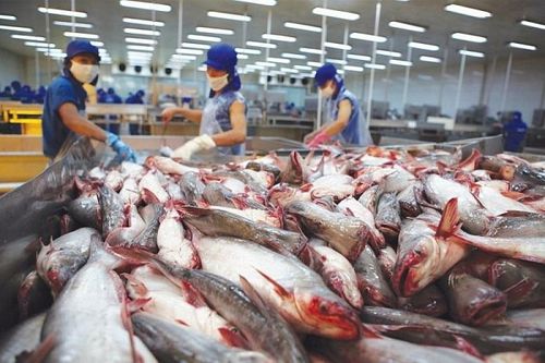 697 doanh nghiệp thủy sản Việt Nam được phép xuất khẩu vào thị trường Đài Loan
