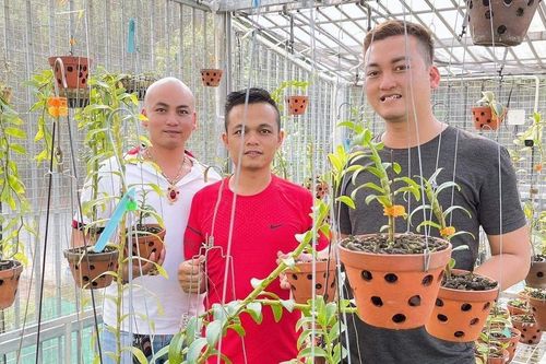 Nghệ nhân Trương Xuân Tuấn – 'Chăm lan như thể chăm con'