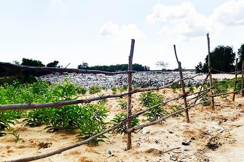 Khu xử lý rác tại xã Cam Tân: Tìm vị trí thích hợp
