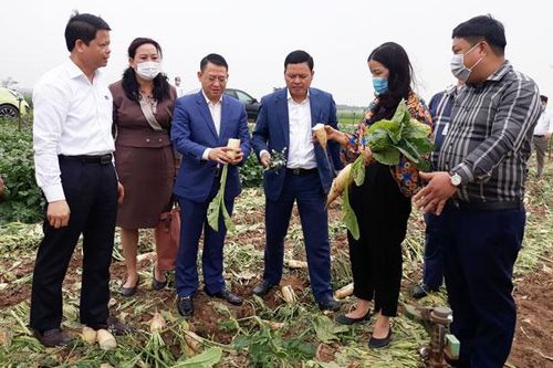 Tổng hợp nhu cầu hỗ trợ tiêu thụ nông sản cho nông dân Hà Nội