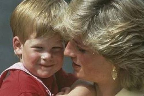 'Cố Công nương Diana sẽ tức giận với Harry vì chuyện Megxit'