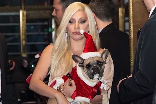 Lady Gaga được trả lại chó cưng