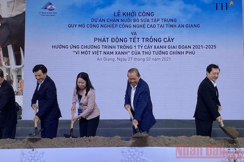 Khởi công dự án chăn nuôi bò sữa lớn nhất khu vực đồng bằng sông Cửu Long