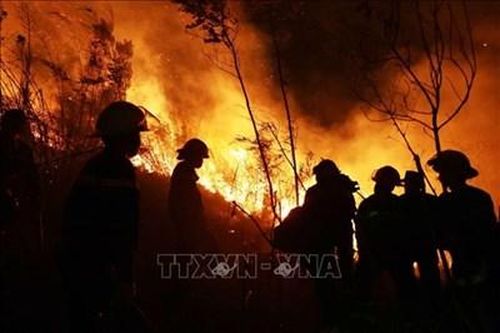 Lai Châu: Cháy rừng bùng phát và lan rộng tại huyện Tam Đường
