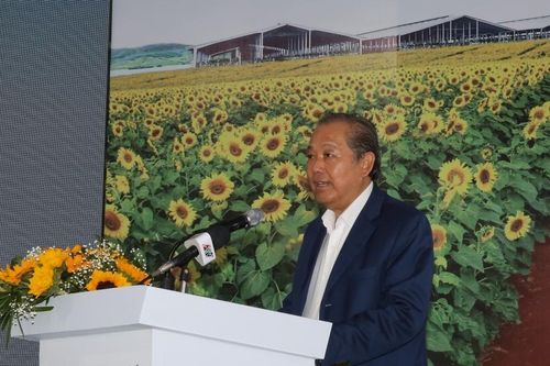 Phó Thủ tướng Trương Hòa Bình: An Giang cần bắt kịp xu hướng nông nghiệp hiện đại trên thế giới