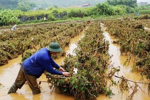 Dịch vụ khí hậu, tại sao không?