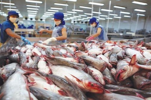 Gần 700 doanh nghiệp Việt được phép xuất khẩu thủy sản vào Đài Loan