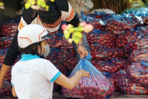 Nữ giáo viên cùng bạn giải cứu hàng chục tấn nông sản huyện Tiên Lãng